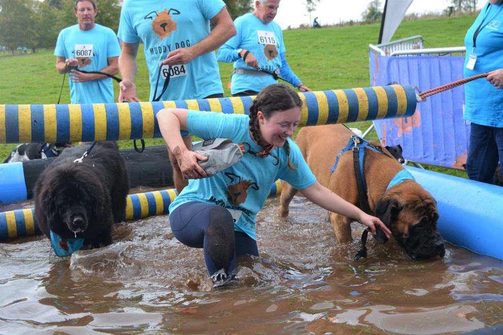 Exeter animal lovers raise over £55,000 for Battersea at Muddy Dog